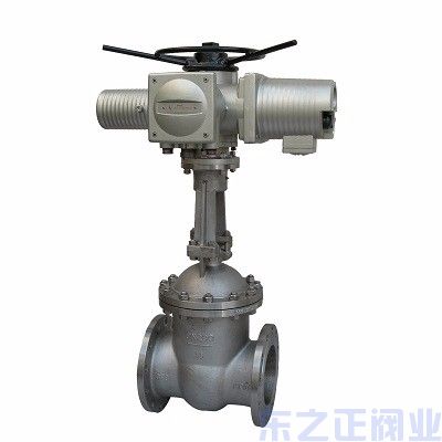 電動(dòng)法蘭閘閥