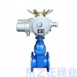 電動(dòng)軟密封閘閥