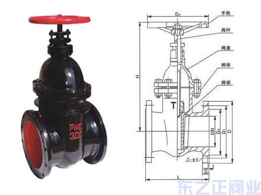 Z45T暗桿鑄鐵閘閥